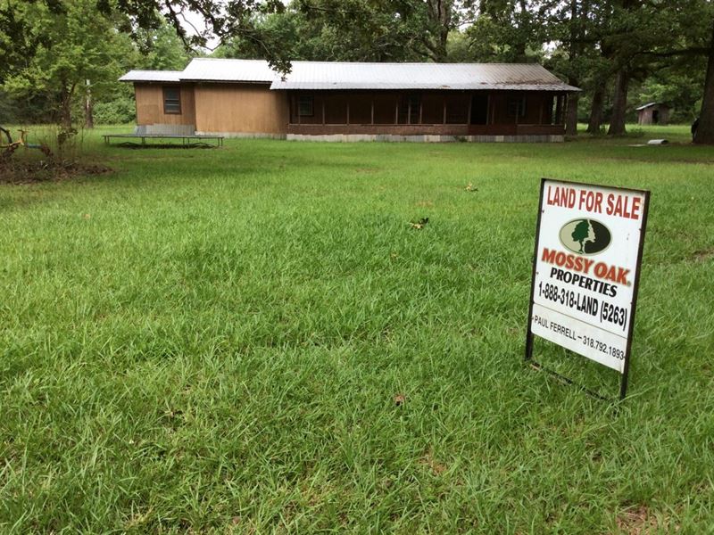 Griswald Road Tract, Lasalle Parish : Tullos : La Salle Parish : Louisiana