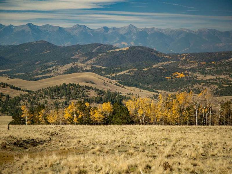 Loco Mountain Hunting Ranch : Brookside : Fremont County : Colorado