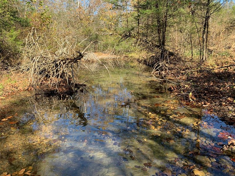 Hunting Property in Arkansas : Williford : Sharp County : Arkansas