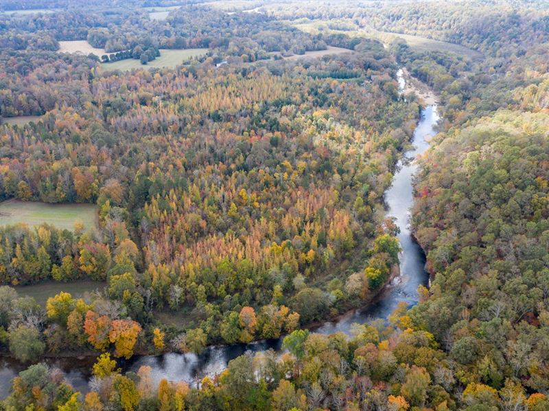 Hunting & Recreational Land : Hohenwald : Lewis County : Tennessee