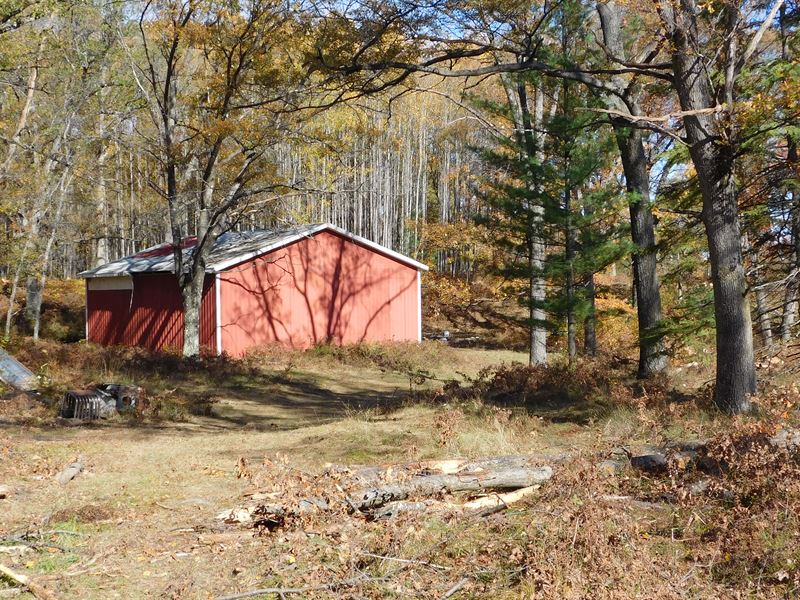 Nice 80 to Hunt or Build : Hubbard Lake : Alcona County : Michigan