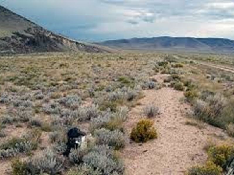 5 Acres for Sale in Antonito, CO : Antonito : Conejos County : Colorado