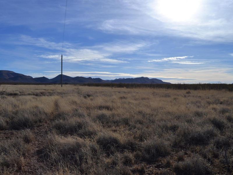 1.07 Acres for Sale in Sanders, AZ : Sanders : Apache County : Arizona