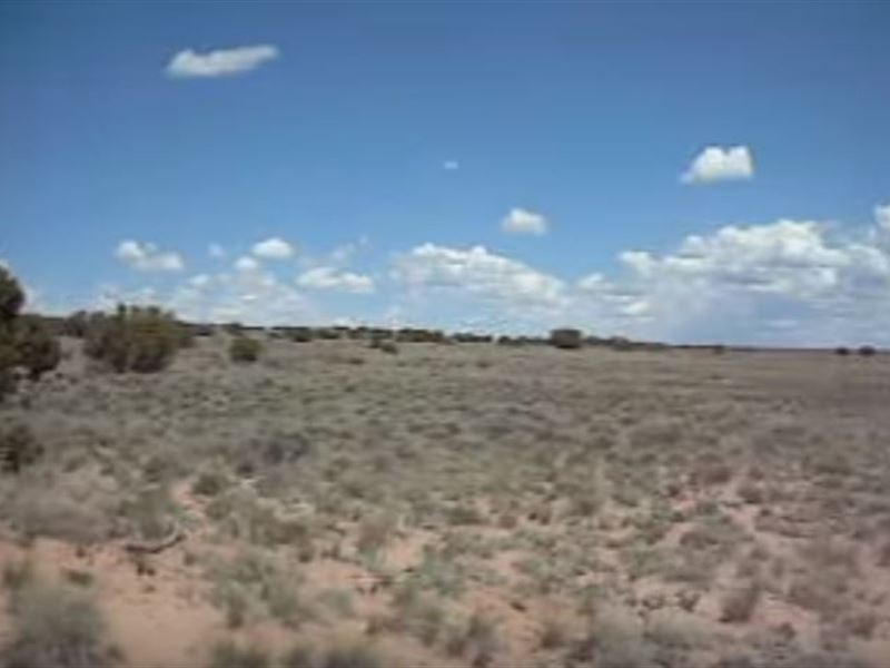 1.07 Acres for Sale in Sanders, AZ : Sanders : Apache County : Arizona
