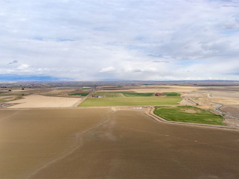 Big Irrigated Whole Farm : Powell : Park County : Wyoming