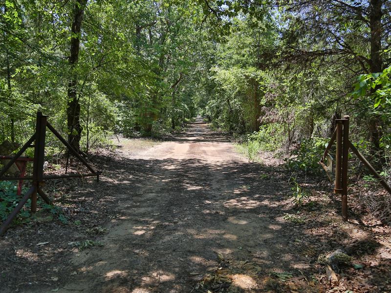 103 Ac Indian Rock : Gilmer : Upshur County : Texas