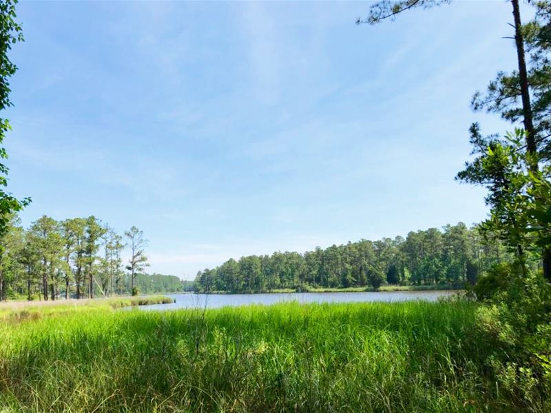 Waterfront Lot for Sale Belhaven NC : Belhaven : Beaufort County : North Carolina
