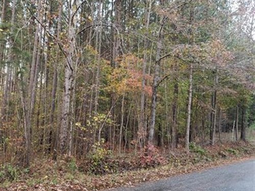 Wooded Site : Keysville : Lunenburg County : Virginia