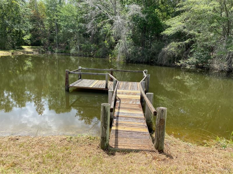 24 Acres Hunting Land, Pond, Cabin : Glenwood : Crenshaw County : Alabama
