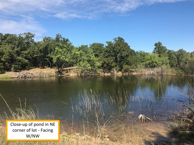 Land For Sale Near Graham Tx