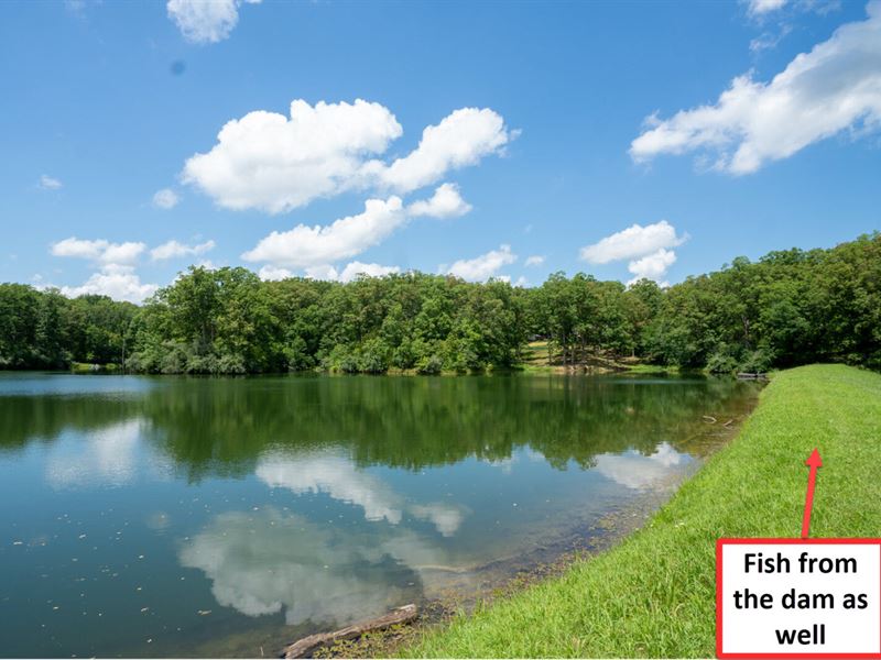 Private 5 Acre Lot with Access : Williamsburg : Callaway County : Missouri