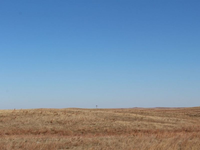Keya Paha County Grass : Springview : Keya Paha County : Nebraska