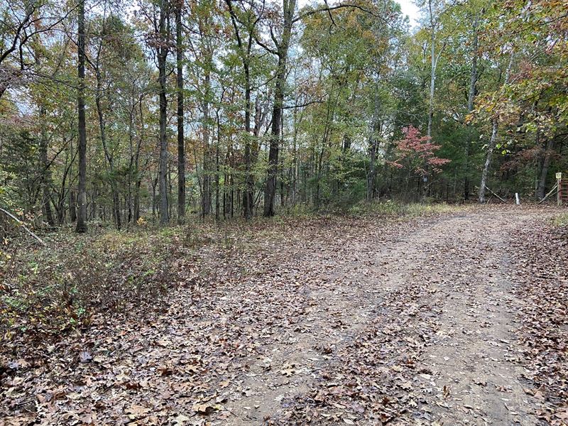 Arkansas Hunting Land 10 Acres, Land for Sale in Arkansas, 258983