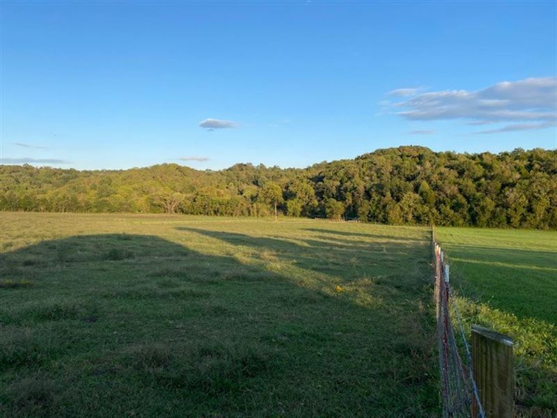 5.3 Acres for Sale in Columbia : Columbia : Maury County : Tennessee