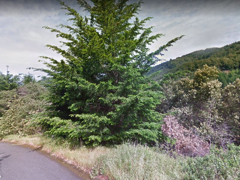 .5 Acres for Sale in Shelter Cove : Shelter Cove : Humboldt County : California