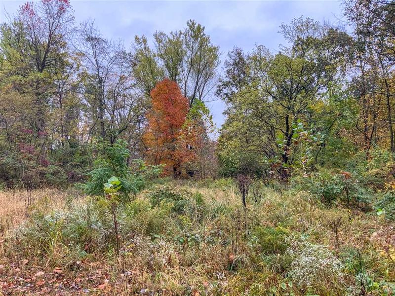 Moores Lane, 11 Acres, Muskingum : Zanesville : Muskingum County : Ohio