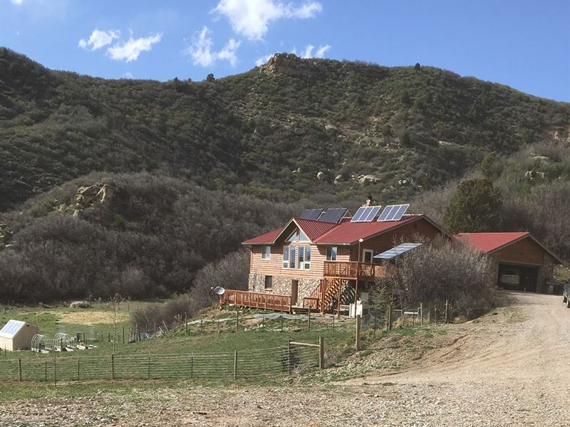 Colorado Off-Grid Mountain Horse : New Castle : Garfield County : Colorado