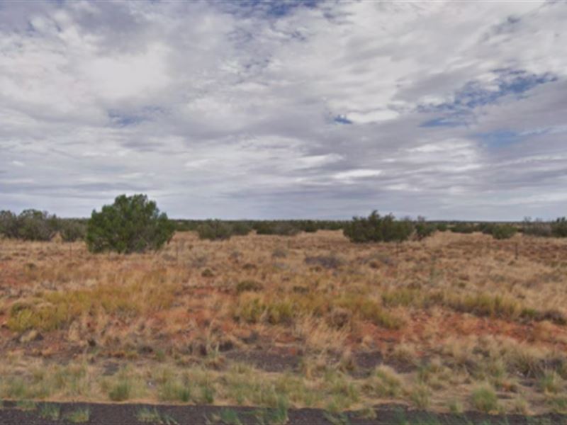 Make Land Great Again : Holbrook : Navajo County : Arizona