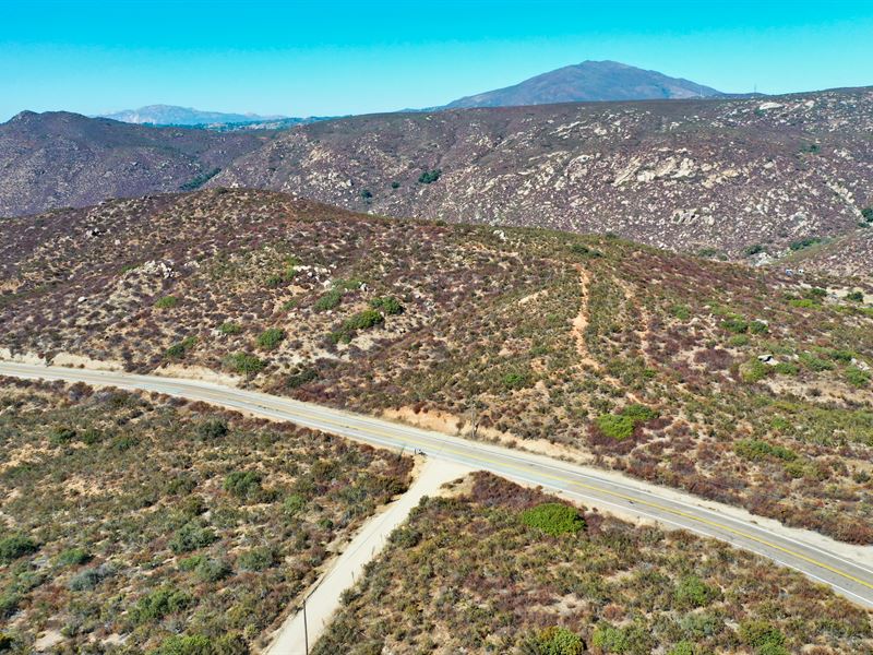 United We Stand, Divided We Fall : Alpine : San Diego County : California
