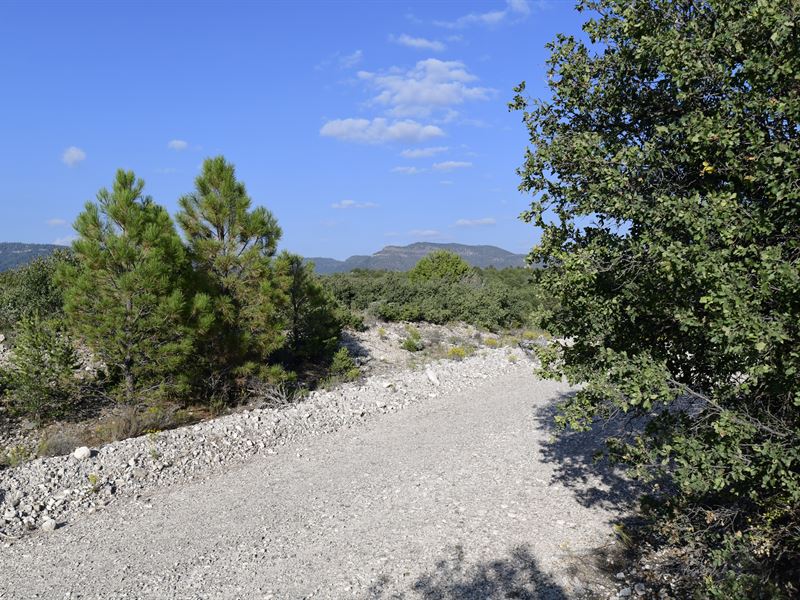 Build a New Mexico Mountain Retreat : Timberon : Otero County : New Mexico