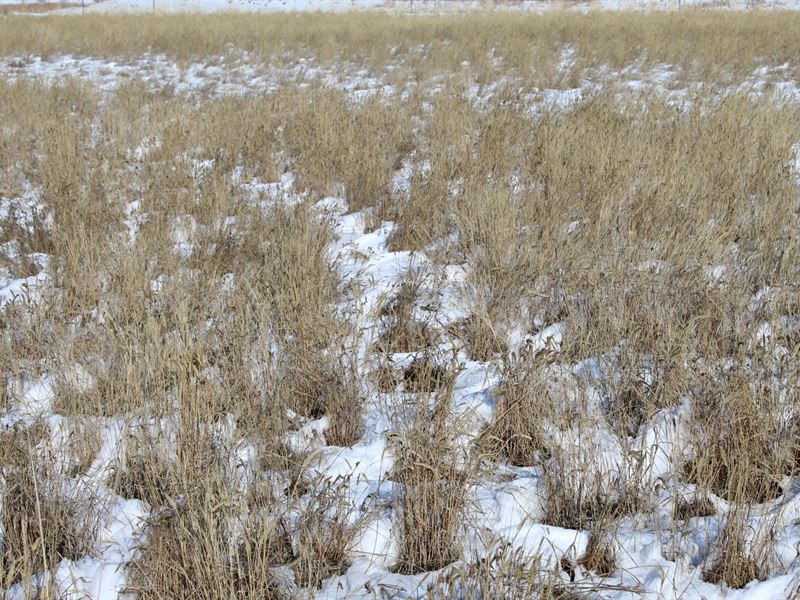 Crowley County Colorado Crp West : Sugar City : Crowley County : Colorado