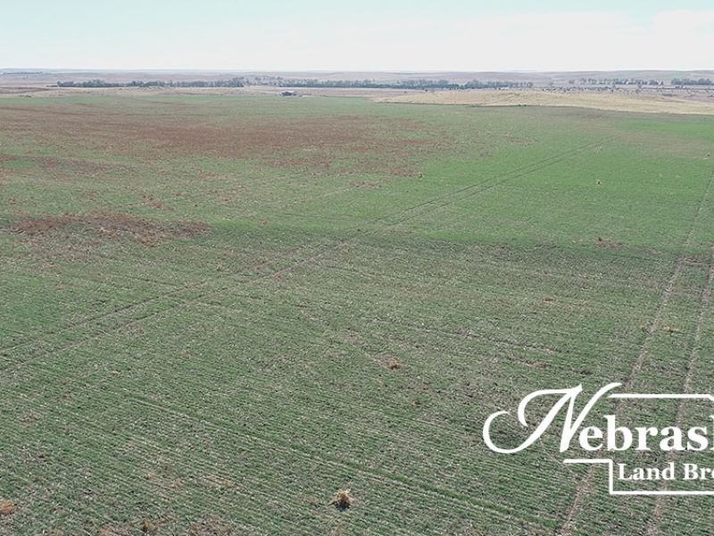 Benkelman NE Cropland : Benkelman : Dundy County : Nebraska