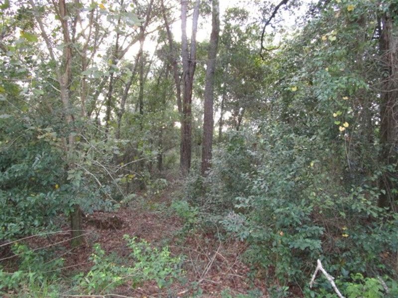 Private Lot Tallahassee FL Close to : Tallahassee : Leon County : Florida