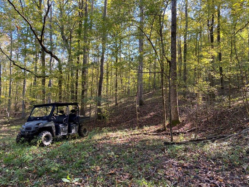 Rutt-N Acres, Pond, Creek & Hunting : Lapine : Crenshaw County : Alabama