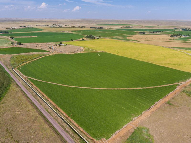 Sellers Irrigated Farm : Torrington : Goshen County : Wyoming