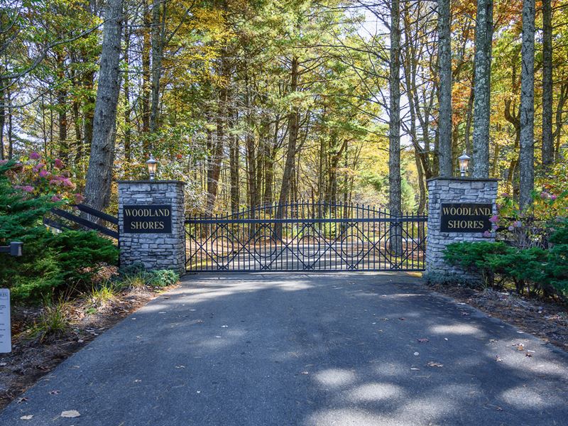 Wooded Lot with Electric Near River : Jefferson : Ashe County : North Carolina