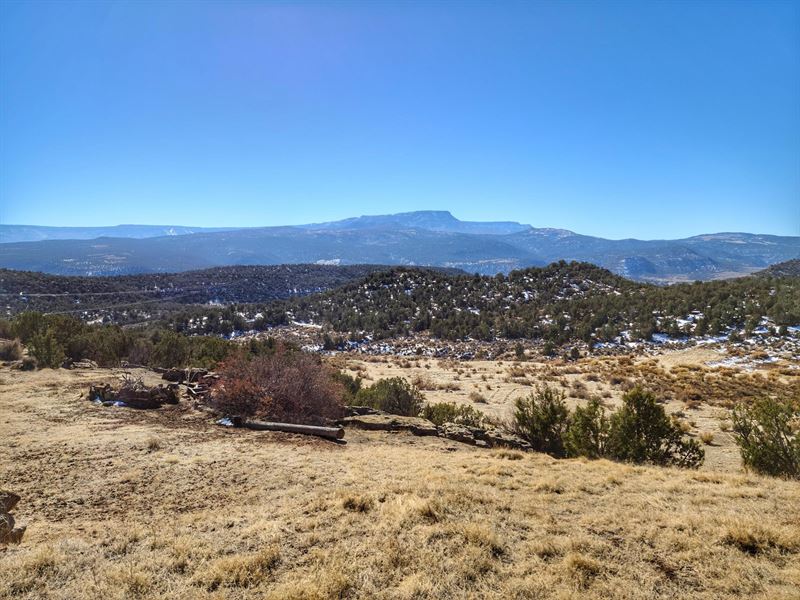 4451 Horse Canyon Road : De Beque : Mesa County : Colorado