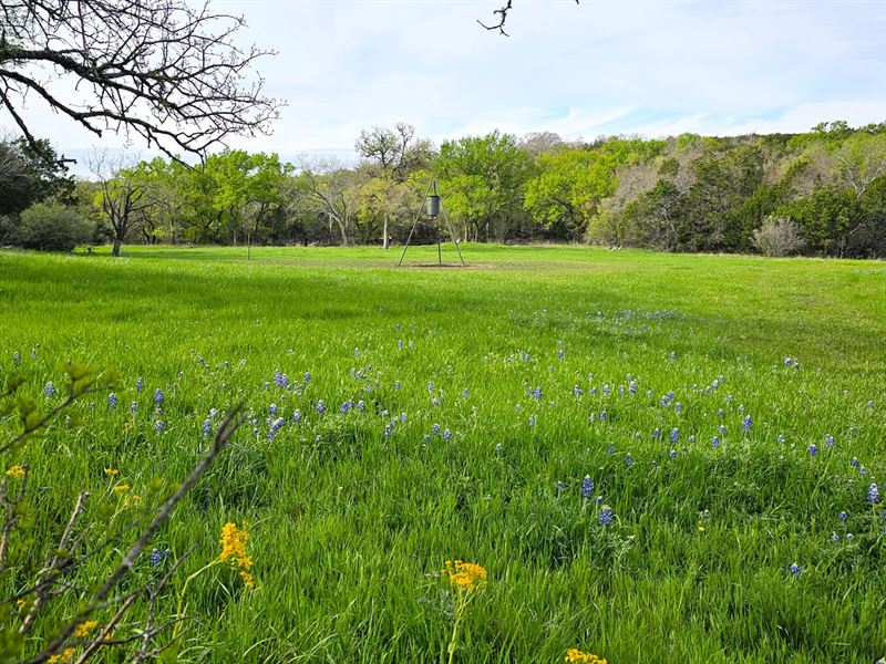 Hunting Land in Lampasas, Smith Ra : Lampasas : Lampasas County : Texas
