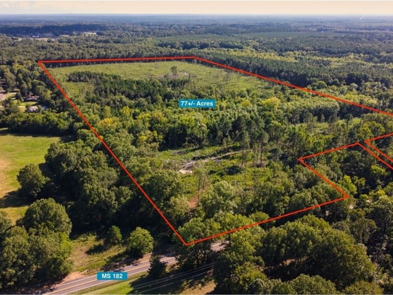 77 Acres in Oktibbeha County in Sta : Starkville : Oktibbeha County : Mississippi