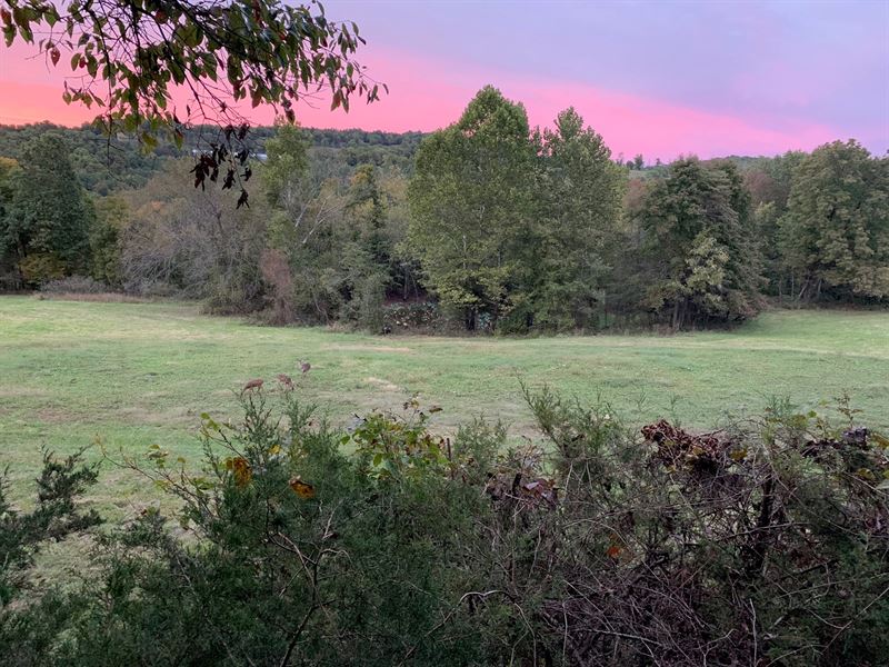 Madison County AR 80 Acres Hunting : Wesley : Madison County : Arkansas