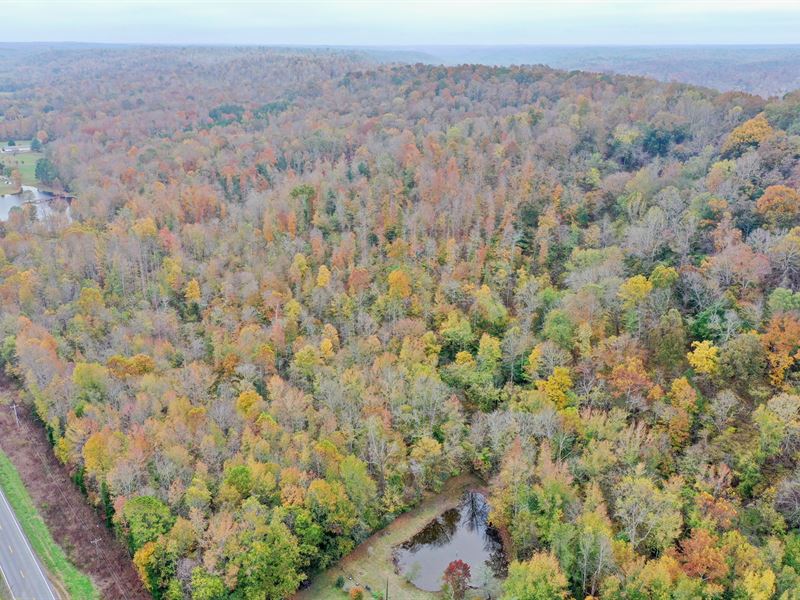 Land Hickman County TN Creek Spring Land for Sale in Pleasantville