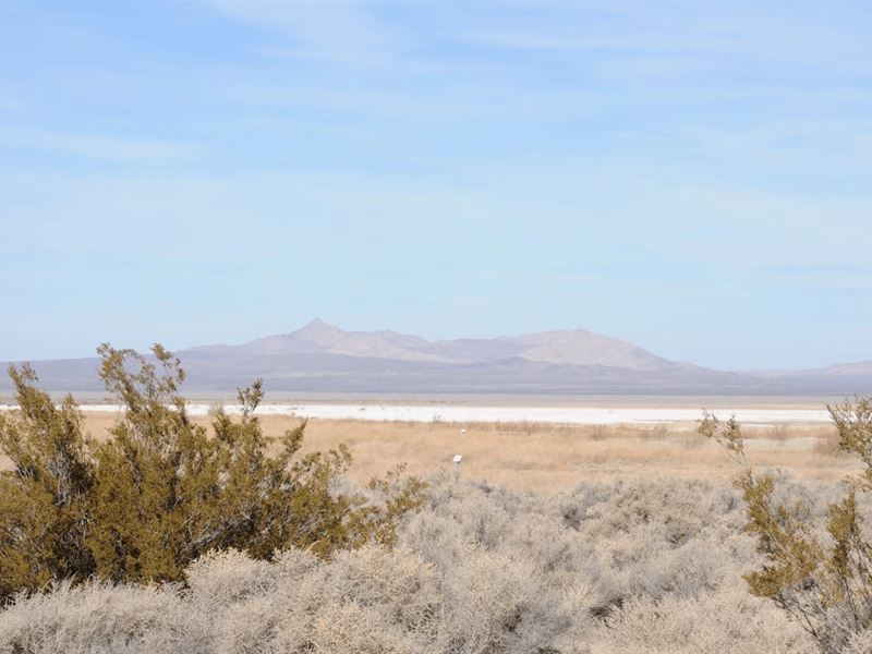 .25 Acres for Sale in Los Lunas : Los Lunas : Valencia County : New Mexico