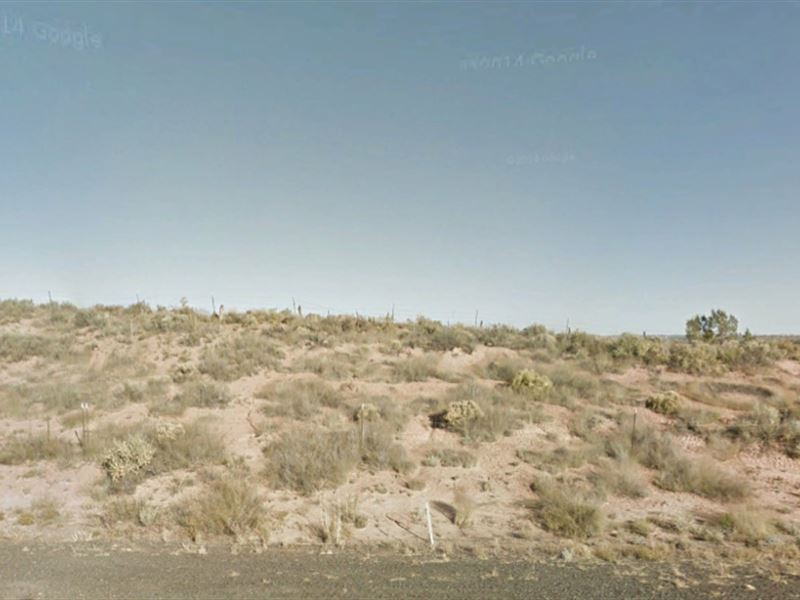 Buy Your Land at $59 Down : Chambers : Apache County : Arizona