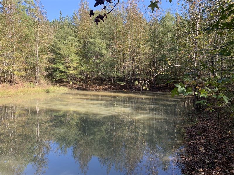 Plantersville Tract : Plantersville : Talladega County : Alabama
