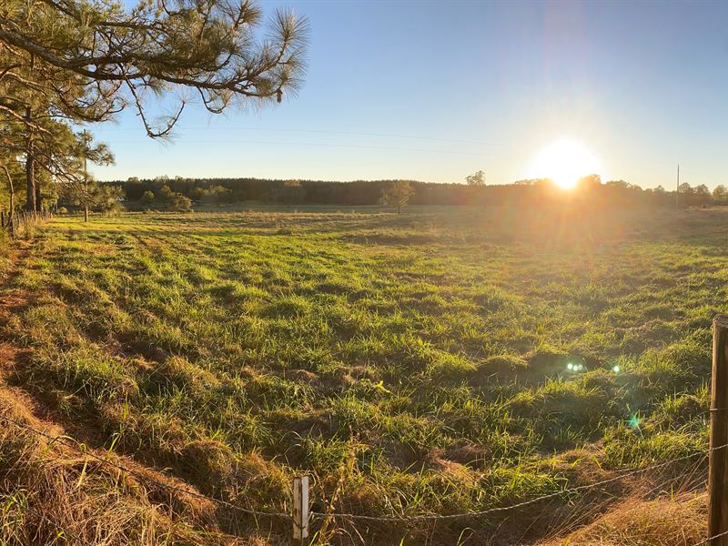 Perfect Future Farm with Two Ponds : Batesburg-Leesville : Saluda County : South Carolina