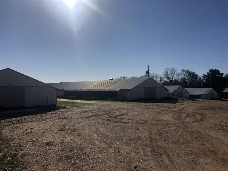 McKinney Farm : Russellville : Colbert County : Alabama