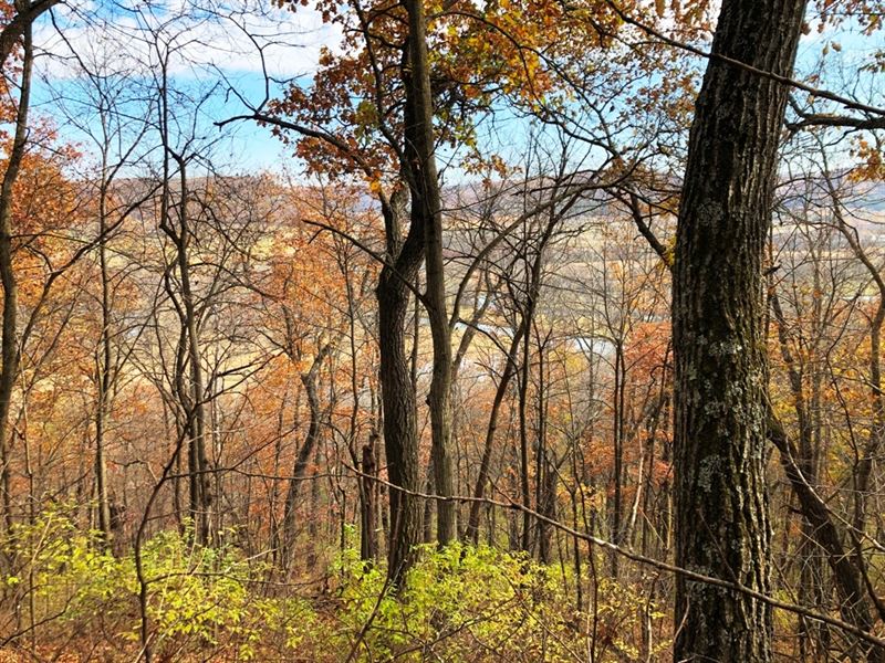 18.57+/- Ac West Point Road : Gays Mills : Crawford County : Wisconsin
