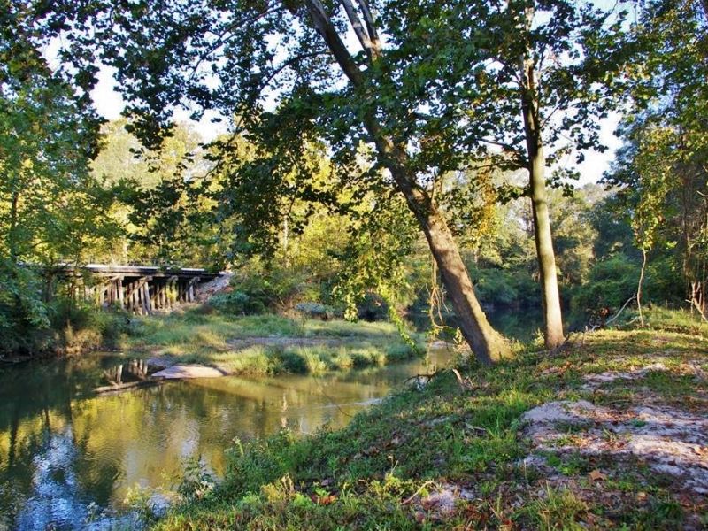 36.36 Acres Riverfront Hunting Prop : Magnolia : Pike County : Mississippi