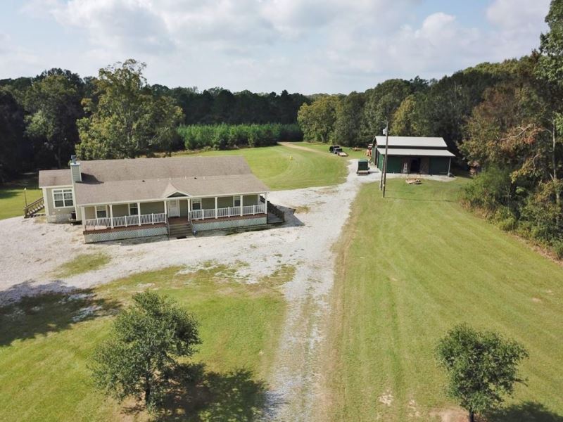 162 Acre Turnkey Hunting Land, Camp Land for Sale in Natchez, Adams