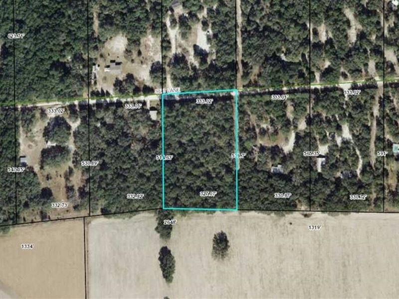 Trenton, FL Acreage, 4 Wooded Acres : Trenton : Gilchrist County : Florida