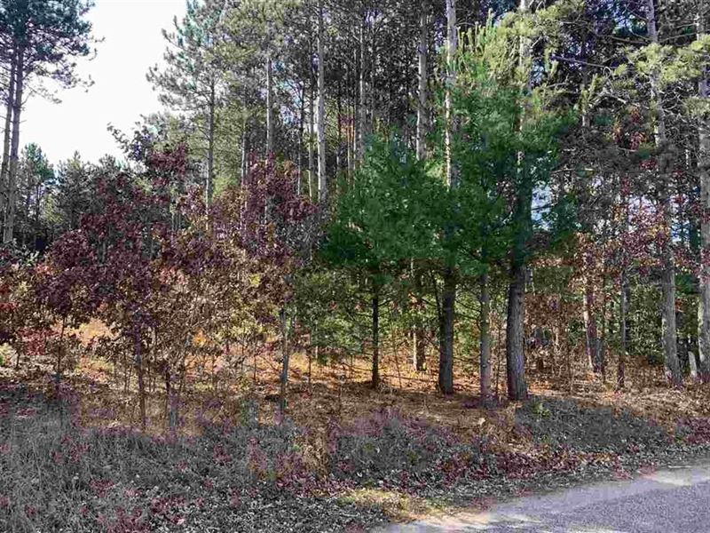 Buildable Lot for Sale in Waupaca : Waupaca : Waupaca County : Wisconsin