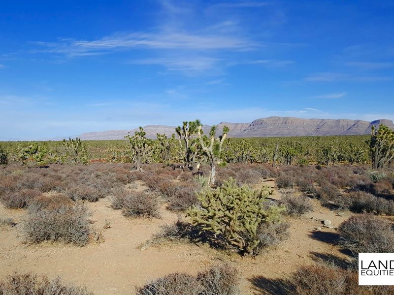 5Ac Bordering Blm Near Grand Canyon : Meadview : Mohave County : Arizona