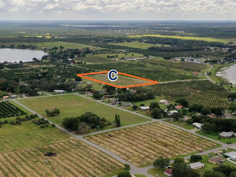 Frostproof Residential Acreage, Land for Sale in Florida, 259381