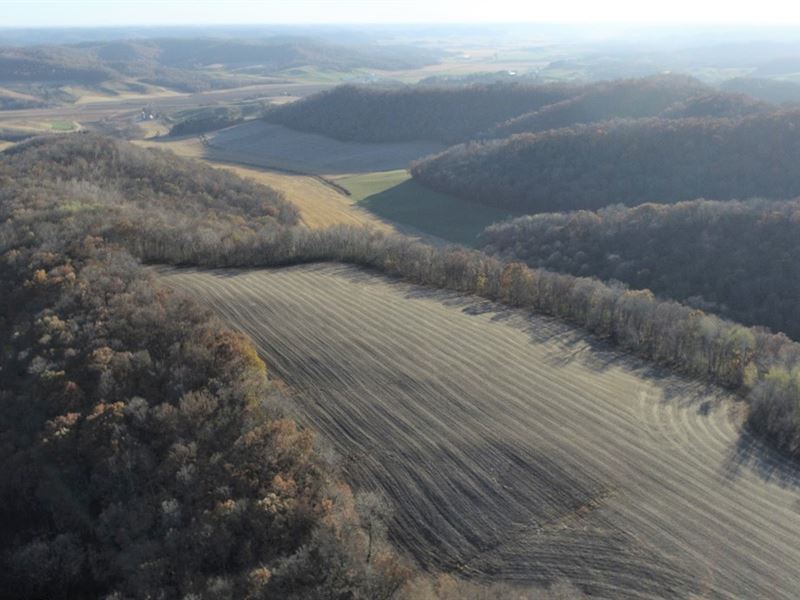 222.6 Acres Buffalo County, WI : Alma : Buffalo County : Wisconsin