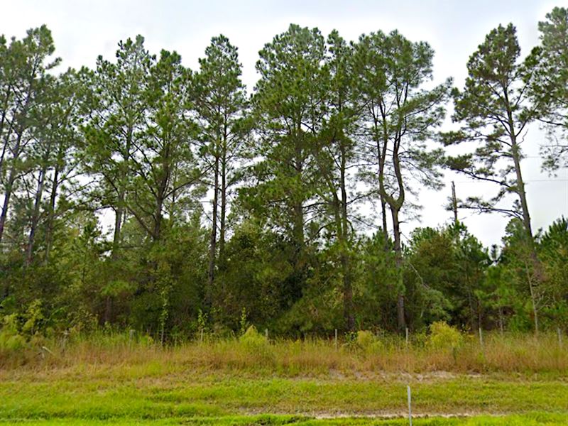 Mobile Ok, Farm Animals Approved : Waldo : Alachua County : Florida