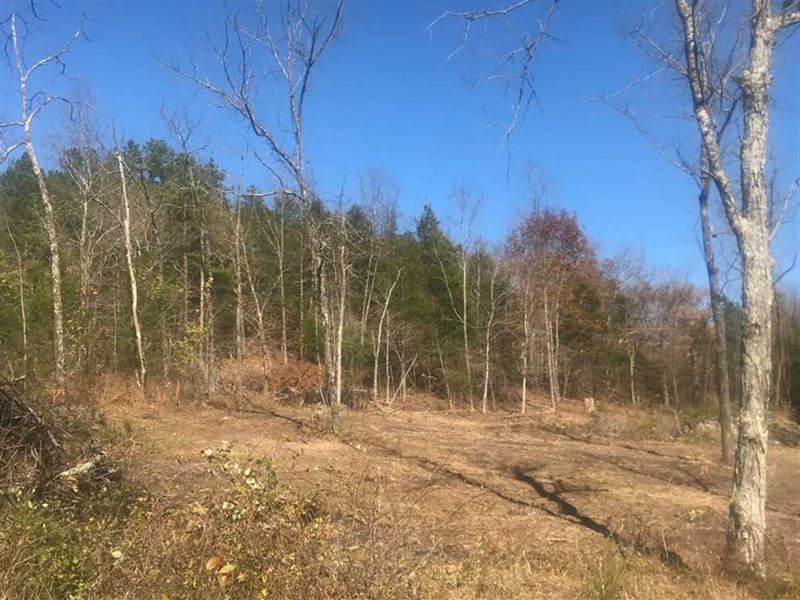 20 Acres for Sale in Reynolds Coun : Ellington : Reynolds County : Missouri